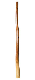 CrookedStixz Didgeridoo (AH361)